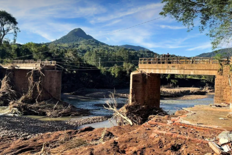 Resistência a eventos climáticos extremos demanda plantio de 10 bi de mudas no Brasil, diz estudo