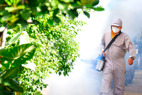 Dia D contra a dengue convoca população a eliminar focos do mosquito