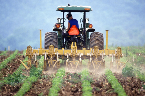 Veja o decreto que regulamenta a renegociação de dívidas para produtores rurais do RS