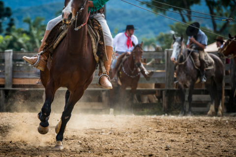 Sancionada Lei que reconhece Rodeio Crioulo como cultura popular